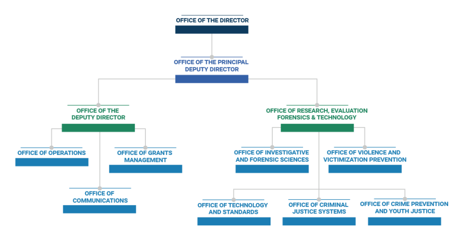 NIJ Organization Chart