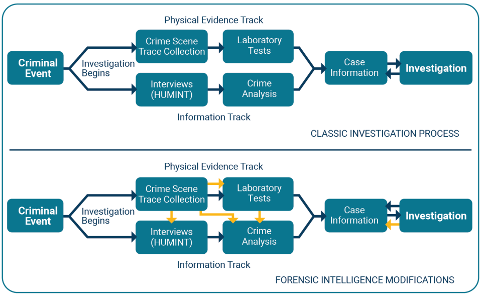 Forensic Intelligence in Practice