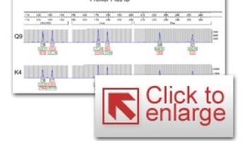 Thumbnail Photo of an example DNA profile using a graphical software program.